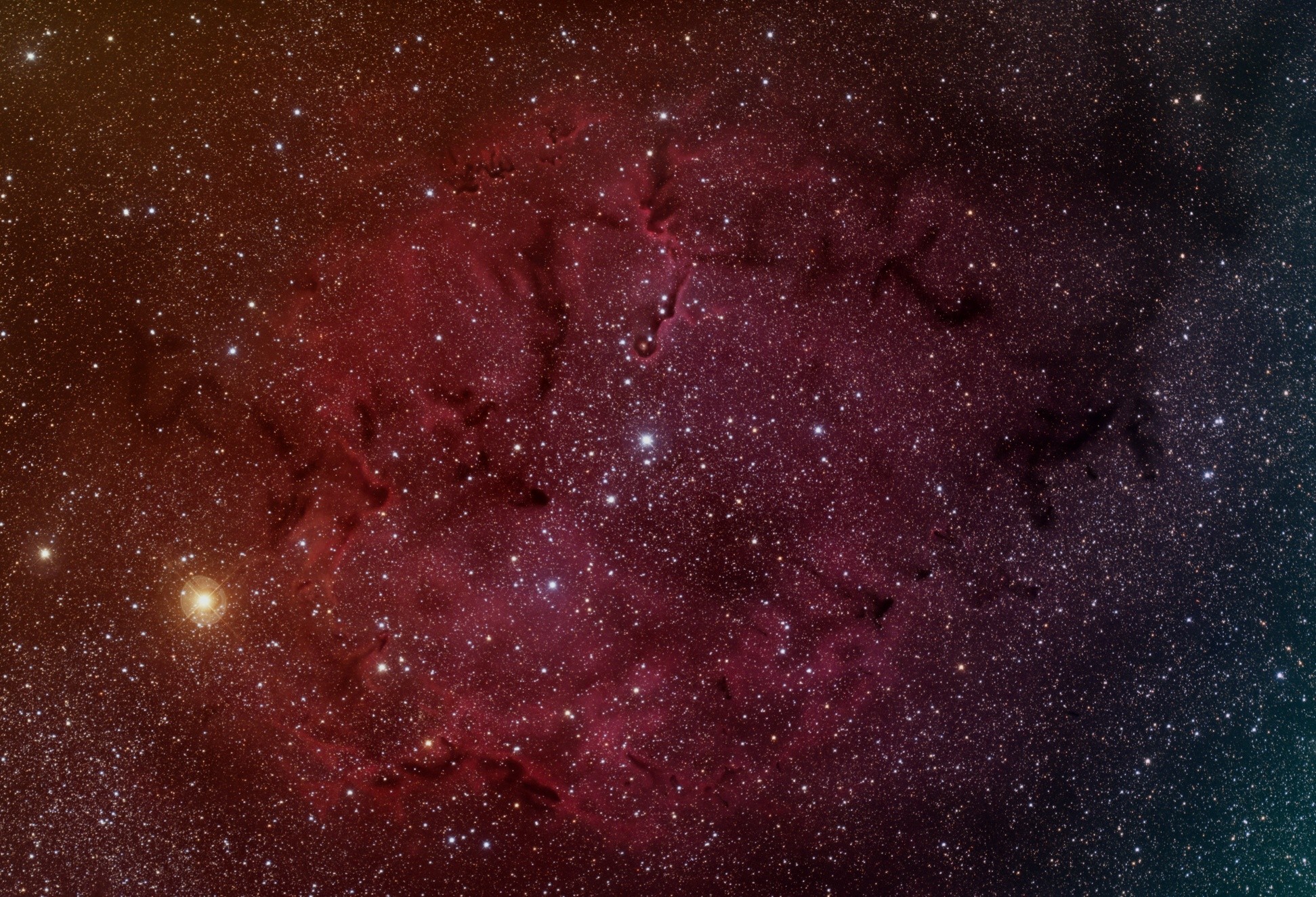 The Elephant Trunk Nebula - Click on this image for a larger version of the image