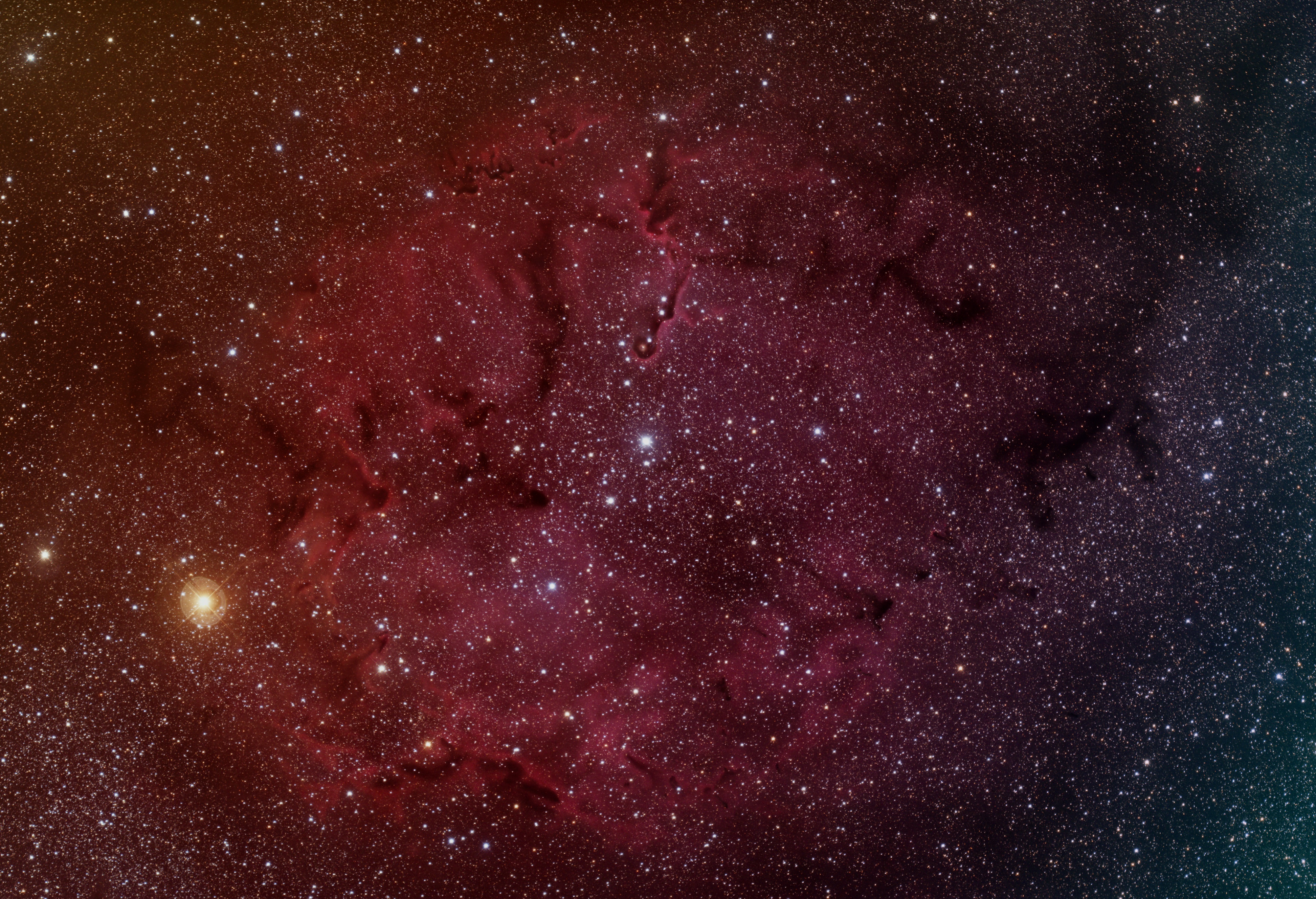 The Elephant Trunk Nebula - Click on this image to return to the smaller version of the image