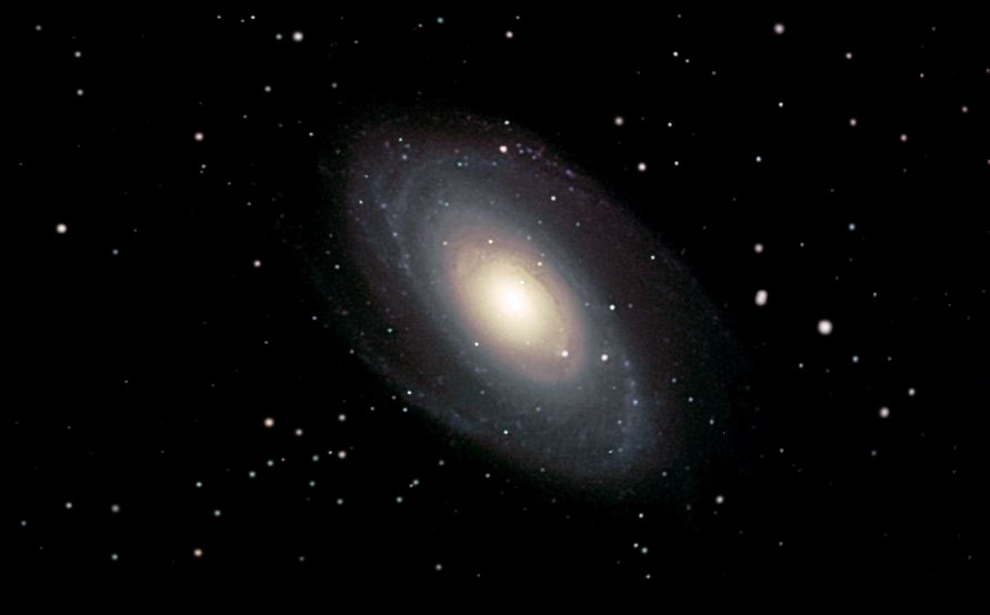 M81