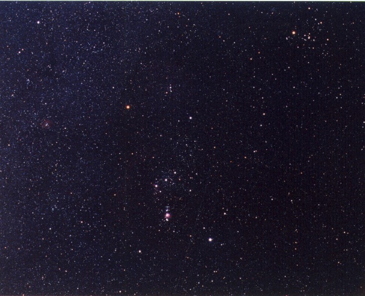 Orion